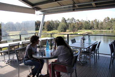 spoonbill_terace1411