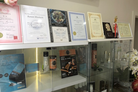 luminousk1901document