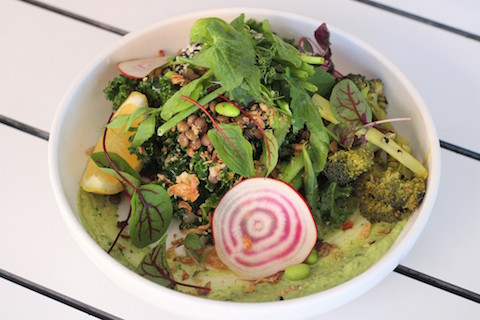 Miller's Kitchen 2.jpg